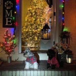 Meet your Posher, Lety